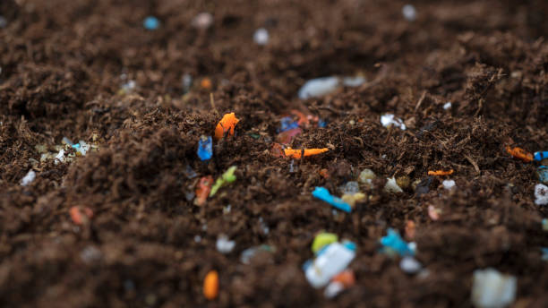 Concept of global warming and climate change. Non-recyclable plastic pollution in the soil at the field.s Microplastics inside the soil. Concept of global warming and climate change. microplastic stock pictures, royalty-free photos & images