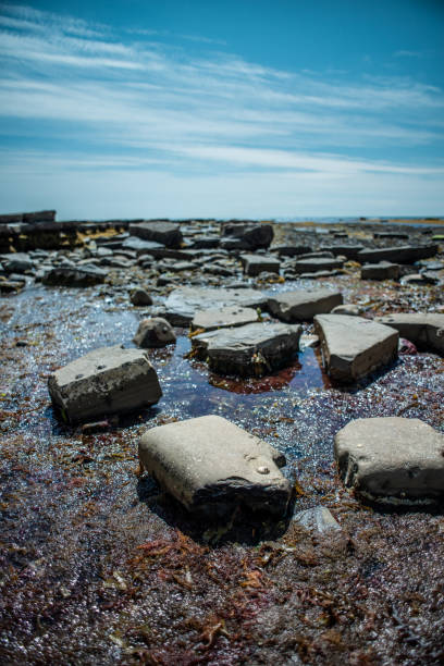 rocas que conducen al horizonte sobre el agua - horizon over water england uk summer fotografías e imágenes de stock