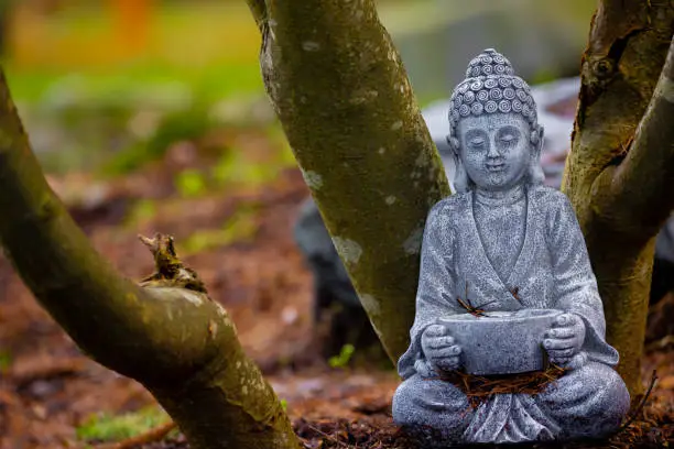 A buddhist statue as yard decoration in a yard surrounded by a tree.
