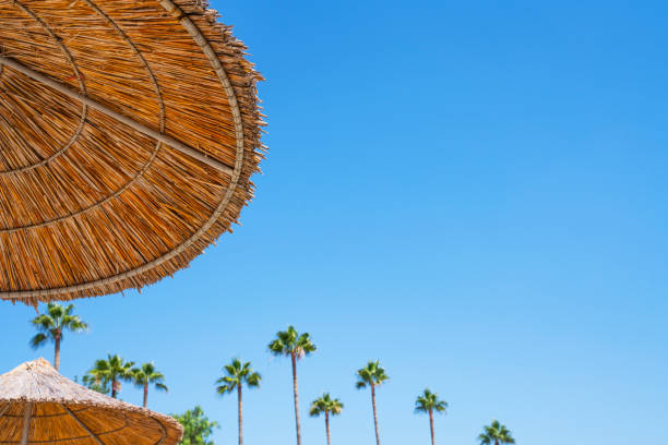 istock Straw umbrellas against the blue sky on the beach. Bottom view. 1387353248