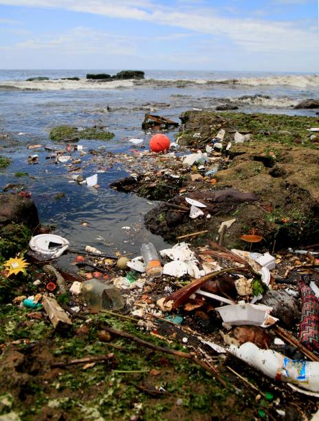 istock garbage at sea in salvador 1387355237