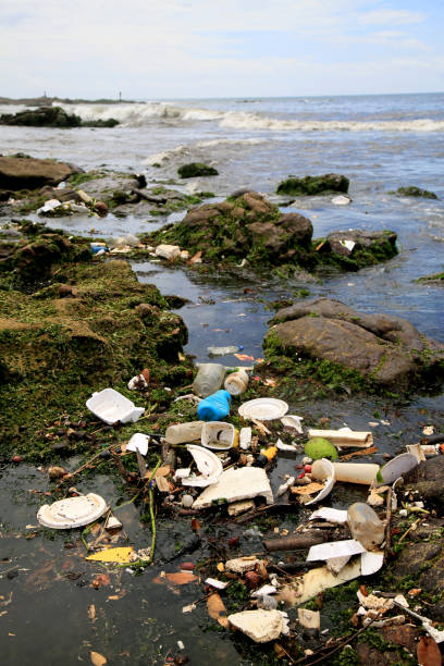 istock garbage at sea in salvador 1387355238