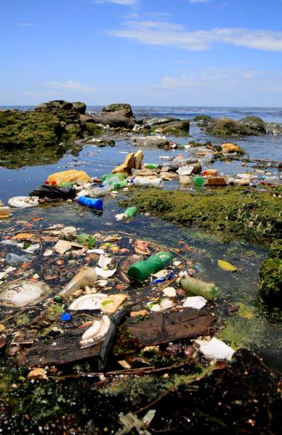 istock garbage at sea in salvador 1387355239