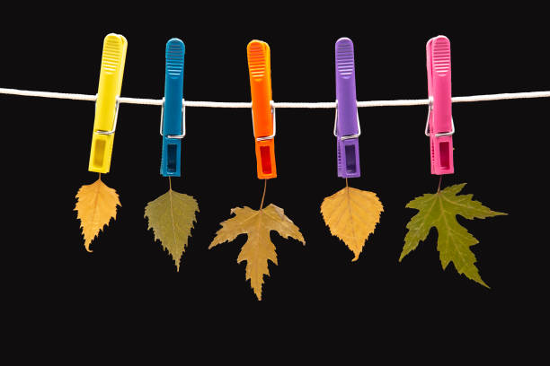 istock autumn dry leaves hang on colored clothespins 1387356089