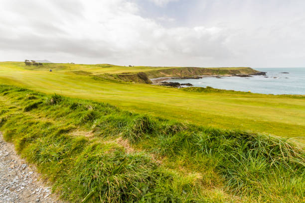 istock Grassy golf course by the sea from path. 1387356378
