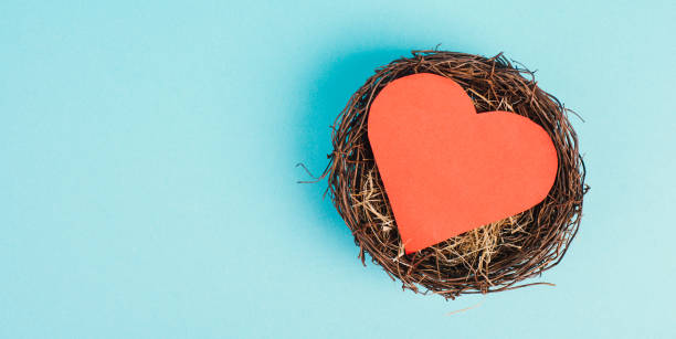 istock Red heart in a nest on a blue colored background, empty copy space for text, greeting card 1387361020