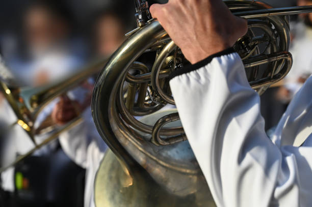 istock Folk musician with brass, horn 1387361890