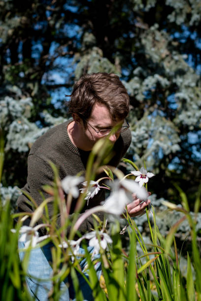 istock A man enjoys a peaceful walk in a Winnipeg park. 1387372766