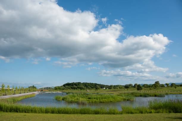 istock riverside city park with a pond in summer 1387377751