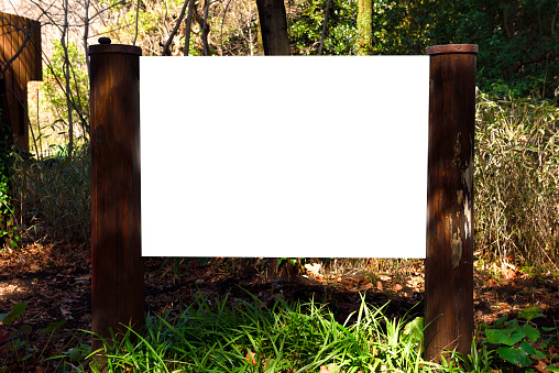 Blank information sign in the forest with copy space.