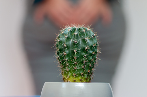 Un cactus en una olla frente a la mujer en los pantalones sosteniendo el suyo por el, de cerca. photo