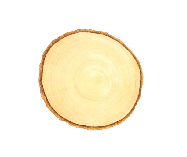 istock Circular wooden cutting board isolated on white background. 1387384883