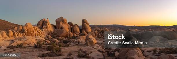 Sunset In Joshua Tree National Park Stock Photo - Download Image Now - Palm Springs - California, Desert Area, Backgrounds