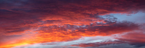 istock Sunset in Joshua Tree National Park 1387384983