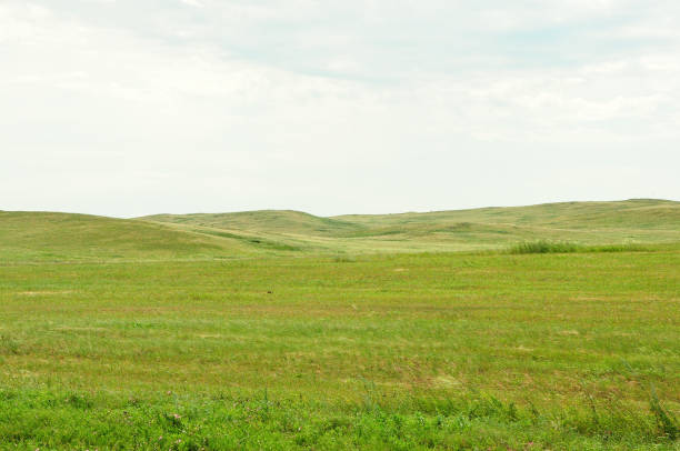 istock Hilly fields of cut grass under a summer cloudy sky. 1387385830