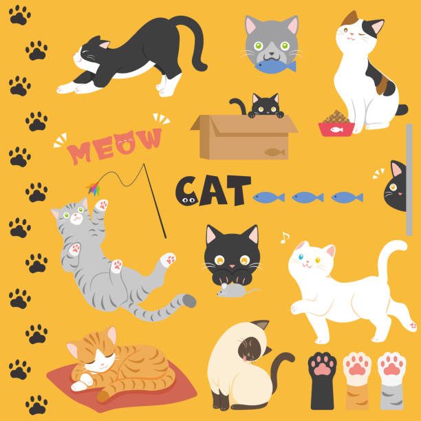 ilustrações de stock, clip art, desenhos animados e ícones de set of cats. cute cats, cat paws, footprints. - undomesticated cat