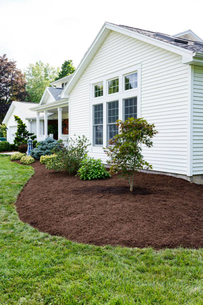 istock Fresh New Landscaping at Suburban Home 1387394422