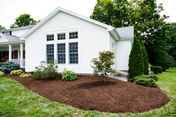 Japanese Maple Tree and New Landscaping at Suburban Home stock photo