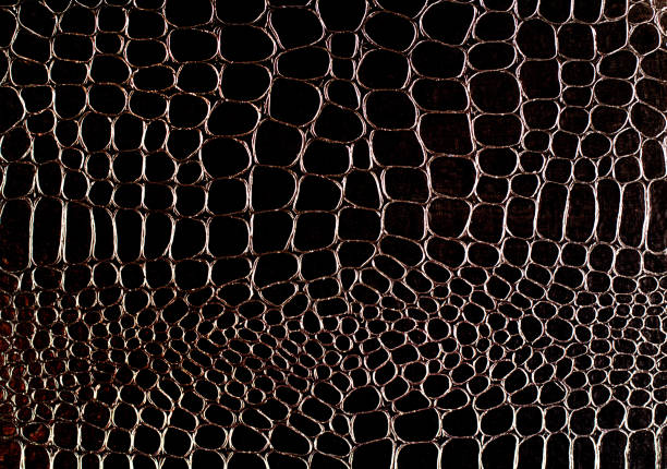 istock Abstract background texture of brown crocodile skin. 1387402250