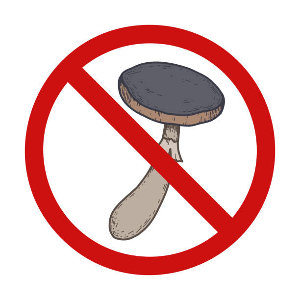 Vector prohibition sign with sketch of colorful toadstool with hatching. Do not pick poisonous mushroom. Danger of being poisoned. Vector prohibition sign with sketch of colorful toadstool with hatching. Do not pick poisonous mushroom. Danger of being poisoned. Fungus drawing in forbidden sign for logos and icons little grebe (tachybaptus ruficollis) stock illustrations