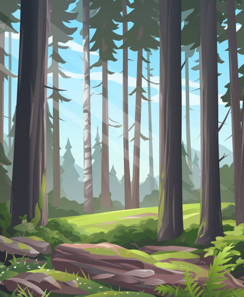 ilustrações de stock, clip art, desenhos animados e ícones de sunlit forest - forest fern glade copse