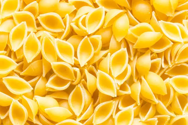 Photo of food background from uncooked conchiglie pasta