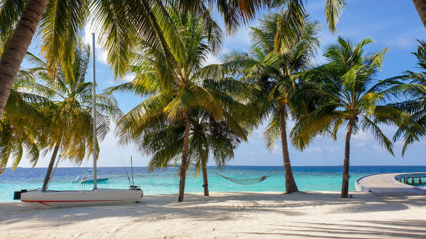 istock Bungalow in the Maldives 1387423600