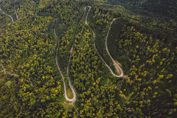 istock High Angle View Of Road Amidst Trees 1387423886