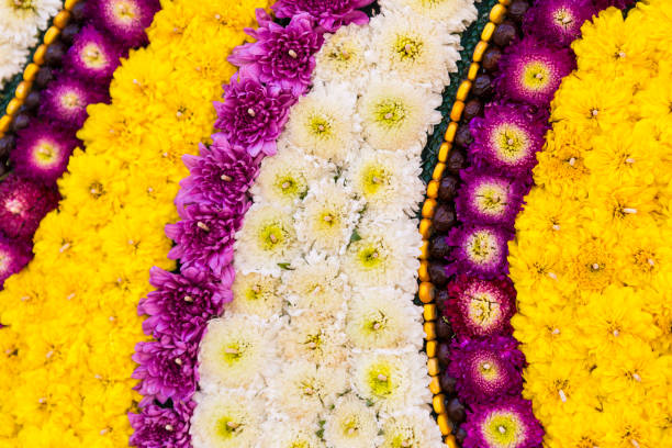 istock Colorful fresh flower background 1387424866