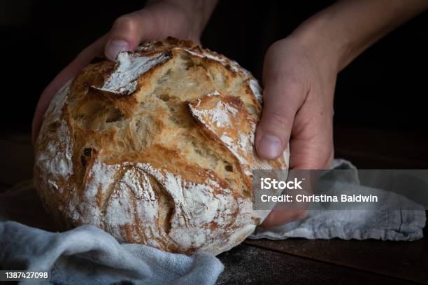 Sharing Sourdough Loaf Stock Photo - Download Image Now - Sourdough Bread, Bread, Artisanal Food and Drink
