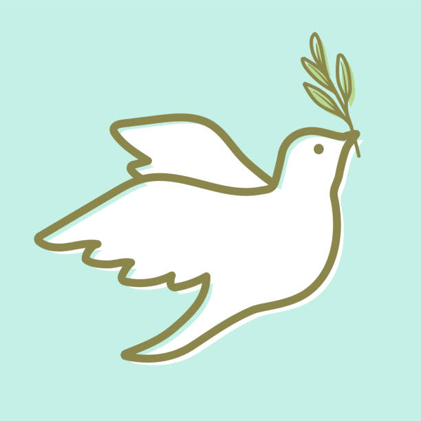 ilustrações, clipart, desenhos animados e ícones de ilustração de uma pomba branca segurando um ramo de oliveira, é um símbolo de paz. - vector branch leaf affectionate