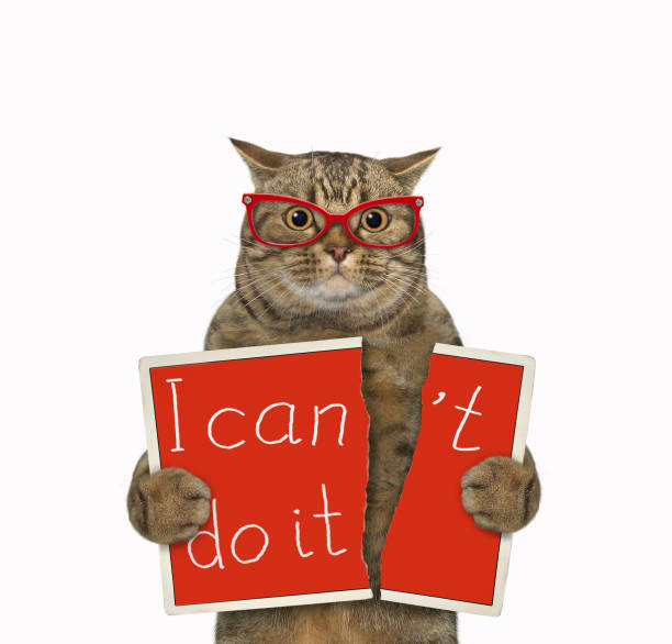 istock Cat tears red sheet of paper 1387430198