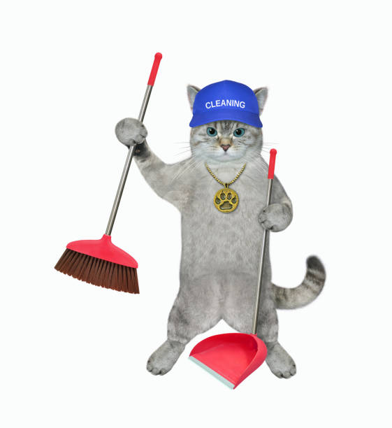 istock Cat ashen holds dustpan and broom 2 1387430201
