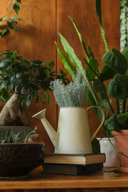 istock Various plants on wooden table. Spring home decor, greenery concept 1387431390