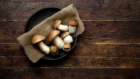 Fresh forest mushrooms, Boletus edulis (king bolete), penny bun, cep, porcini in an old bowl, plate on the wooden dark brown table, top view background banner panorama