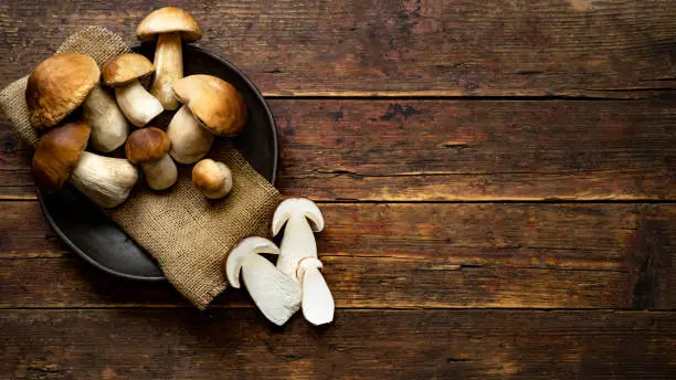 Fresh forest mushrooms, Boletus edulis (king bolete), penny bun, cep, porcini in an old bowl, plate on the wooden dark brown table, top view background banner panorama