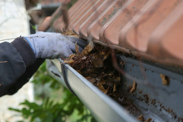 istock Cleaning the gutter from autumn leaves before winter season. Roof gutter cleaning process. 1387433121