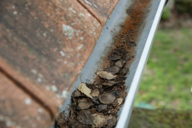 istock Gutter full of old autumn leaves and dirt. 1387433328