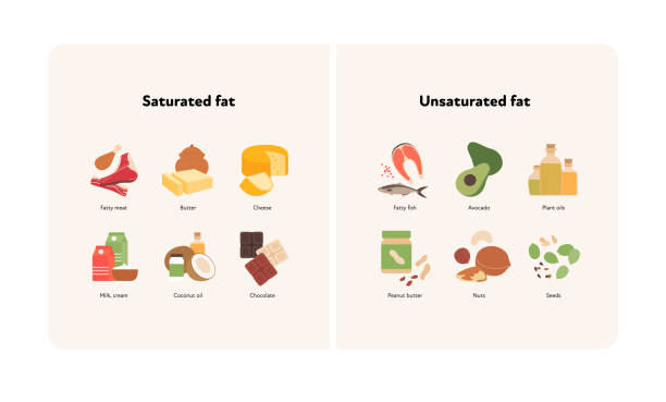 koncepcja przewodnika po zdrowej żywności. wektorowa płaska nowoczesna ilustracja. tłuszcze nasycone i nienasycone porównaj infografikę z ikoną produktu i etykietami nazw. - unhealthy eating stock illustrations