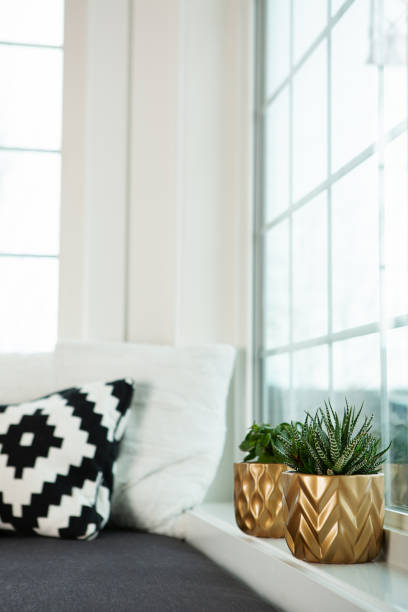 istock Two succulent plants in gold pot on window sill 1387434539