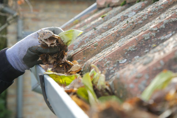 istock Cleaning the gutter from autumn leaves before winter season. Roof gutter cleaning process. 1387434982