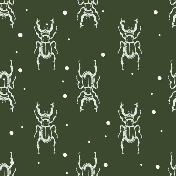 bildbanksillustrationer, clip art samt tecknat material och ikoner med vector seamless pattern with hand drawn stag beetle for print. naturalness of nature, beautiful beetle, ecology. white and green color. - melolontha melolontha