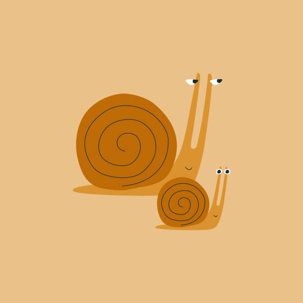 Cute snails hand drawn vector illustration. Funny baby character. Adorable brown slug in flat style. Cute snails hand drawn vector illustration. Funny baby character. Adorable brown slug in flat style. snail stock illustrations