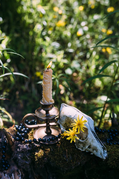 istock Burning candle and old scull in the enchanted forest. Occult, esoteric concept. 1387443681