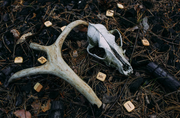 istock Old scull and runes in the enchanted forest. Occult esoteric concept. 1387443810