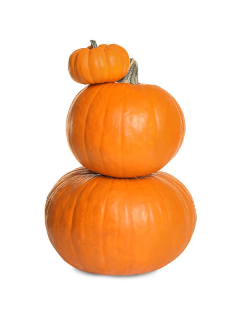 istock Fresh ripe pumpkins isolated on white. Organic plant 1387444105