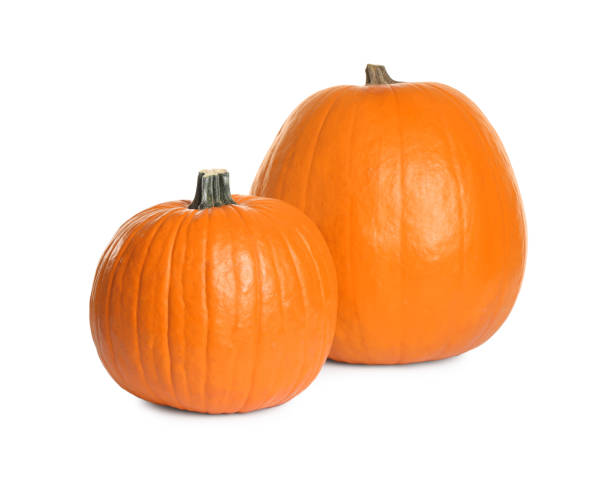 istock Fresh ripe pumpkins isolated on white. Organic plant 1387444338