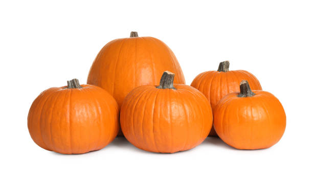 istock Fresh ripe pumpkins isolated on white. Organic plant 1387444547