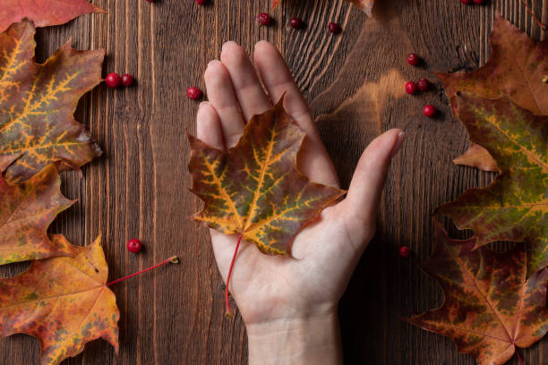 istock hand holding autumn leaves and berries 1387445670