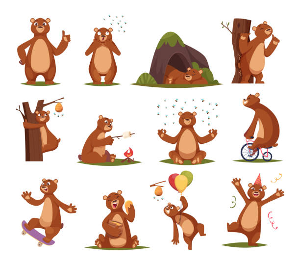 ilustraciones, imágenes clip art, dibujos animados e iconos de stock de oso divertido. mamíferos osos de dibujos animados en acción plantean ilustraciones exactas de cómics vectoriales de animales salvajes - oso